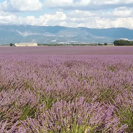 T2 Renove Avec Place Parking Prive * Manosque