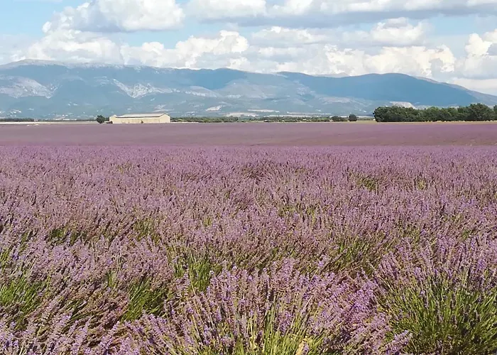 T2 Rénové Avec Place Parking Privé * Manosque